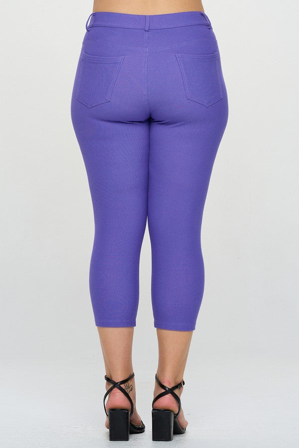Plus Size Classic Solid Skinny Jeggings - Very Periwinkle