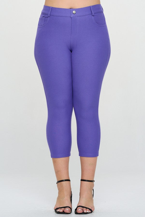 Plus Size Classic Solid Skinny Jeggings - Very Periwinkle